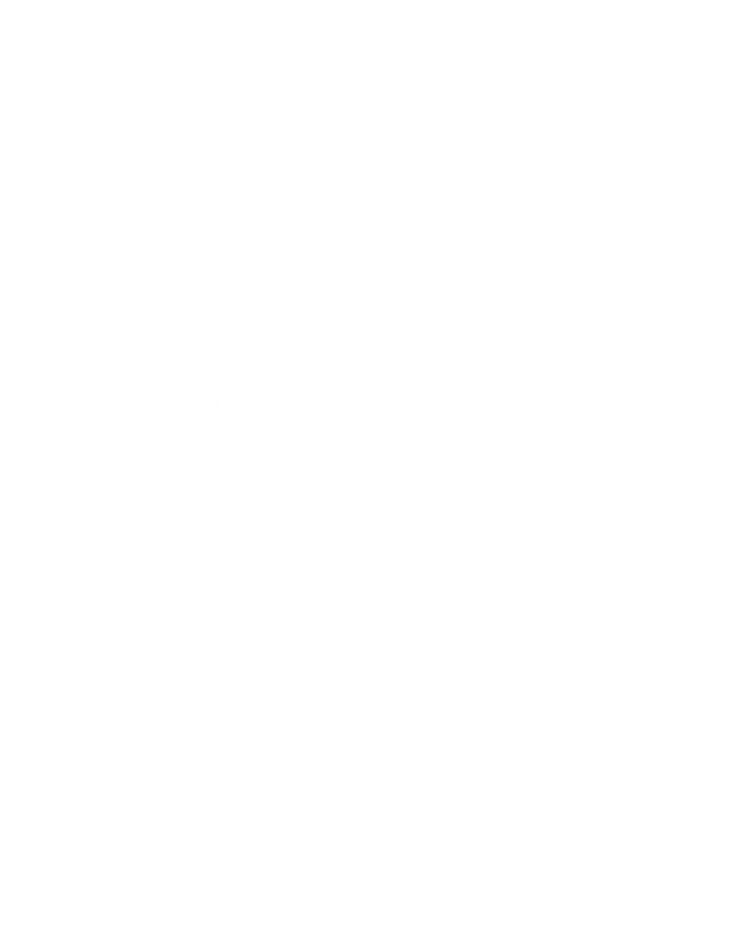 Das NRGkick 10-Jahres-Logo.