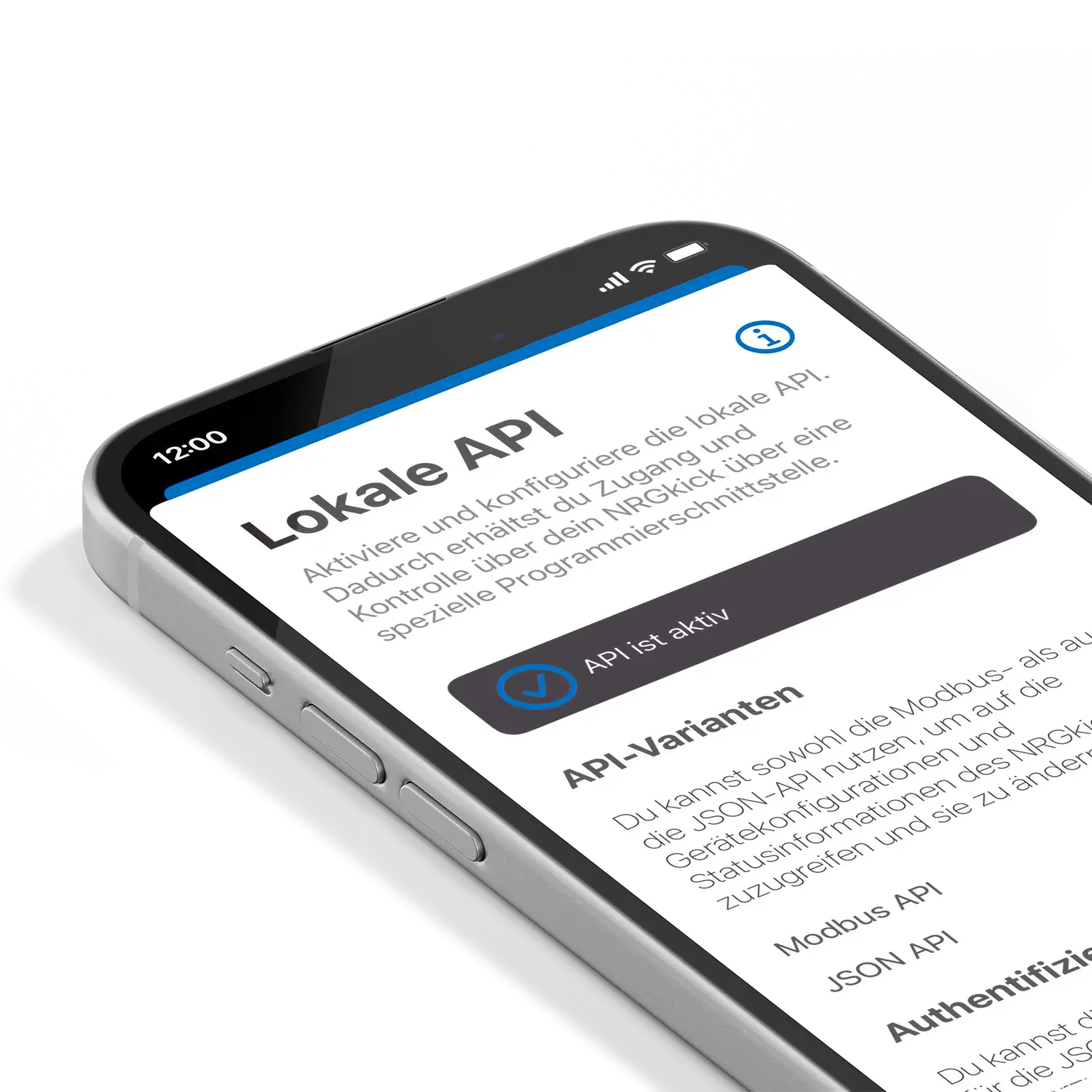 NRGkick App mit der Funktion lokale API.